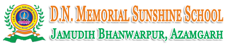 D.N. Memorial Sunshine School